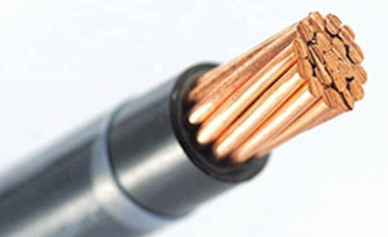 未 命名 图片 图片-2023-05-19T131359.810