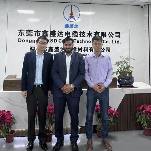 Visitas de clientes indios XSD - Explorando oportunidades de colaboración del proyecto de almacenamiento de energía