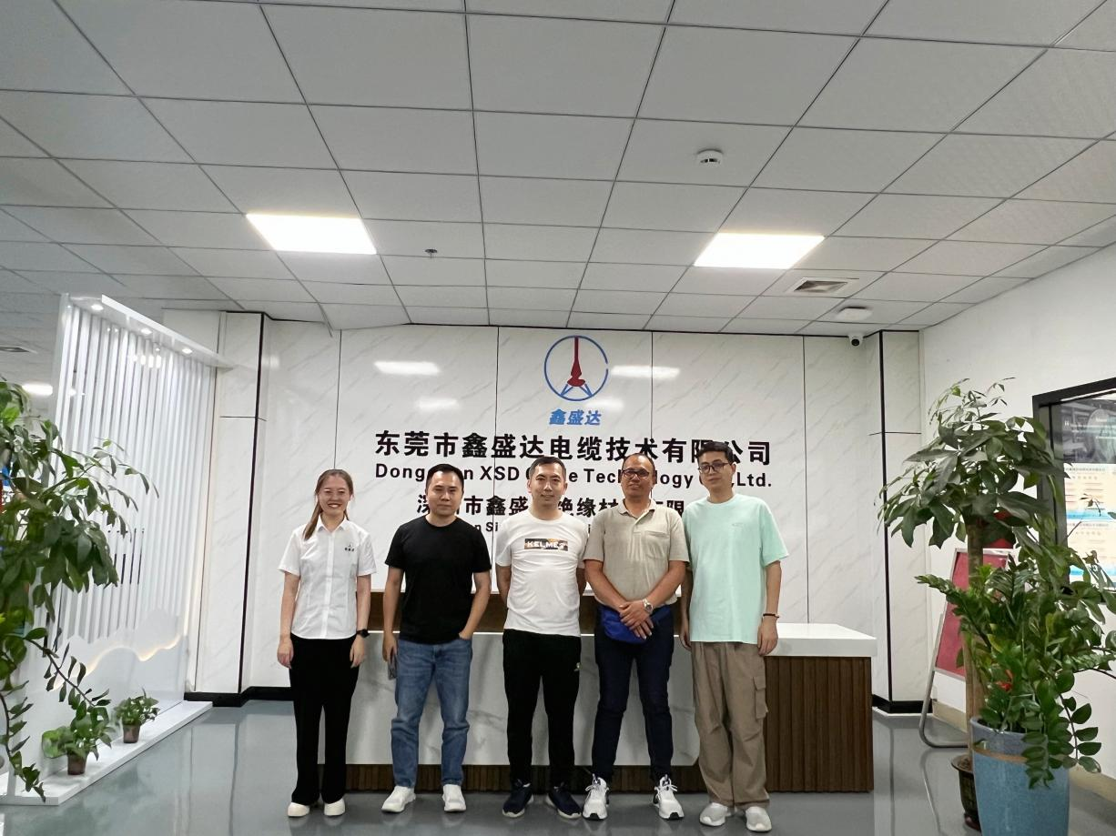 Cable XSD: exhibiendo excepcionales capacidades de procesamiento de cables y cables