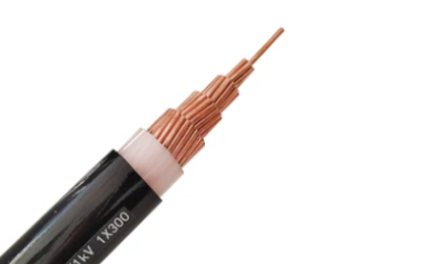 未 命名 图片 图片-2023-05-17T104546.909