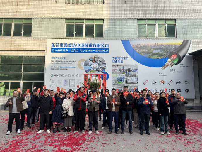 El cable XSD comienza 2025 - ¡Un año de crecimiento y éxito!