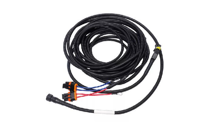 L&iacute;nea de vaina