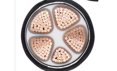 未 命名 图片 图片-2023-05-19T152744.934