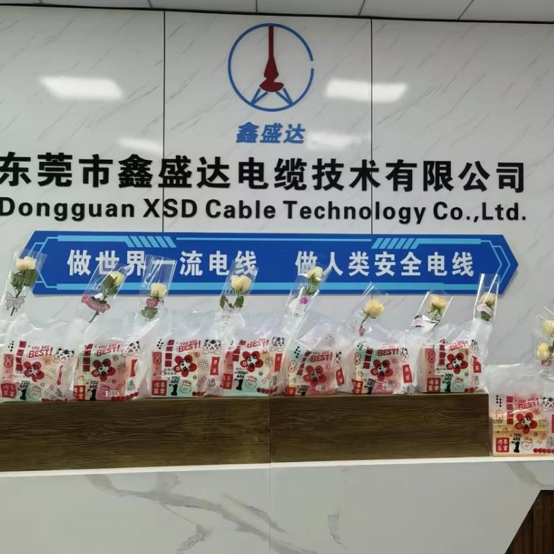 Celebrando a nuestras mujeres en la fuerza laboral: Día Internacional de la Mujer en XSD Cable